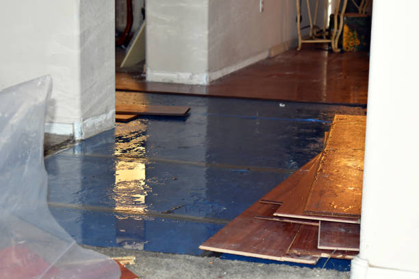 Professional Basement Water Removal technician working in Rayville, MO